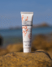 Algologie Smoothing & Blurring Primer 1