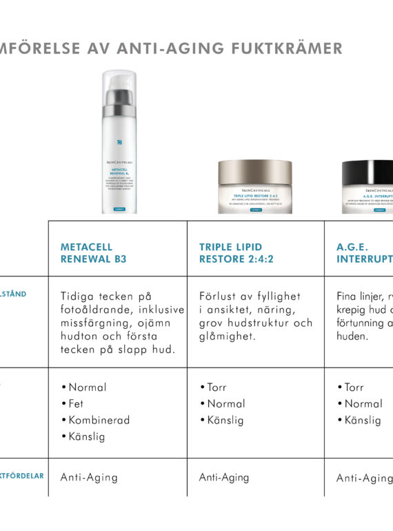 SKC_SE_2025_04_PDP22_METACELL_RENEWAL_B3_06