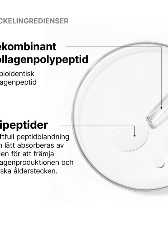 SKC_SE_2025_09_Product_Slide_03_Ingredient